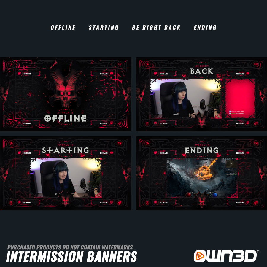 Diablo Skull Intermission Banner - Offline, Pause, Start & End Screens ...