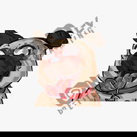 Mops LOL Emotes Discord